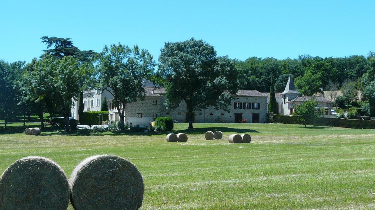 Chateau De La Bousquetarie Lempaut Ngoại thất bức ảnh